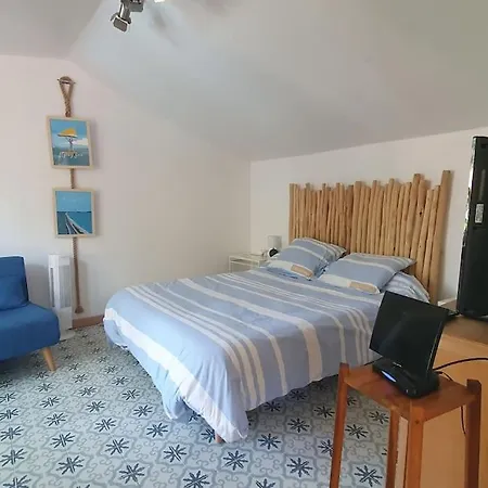 Le Cabanon Piscine Jacuzzi Sauna Paillote La Seyne-sur-Mer